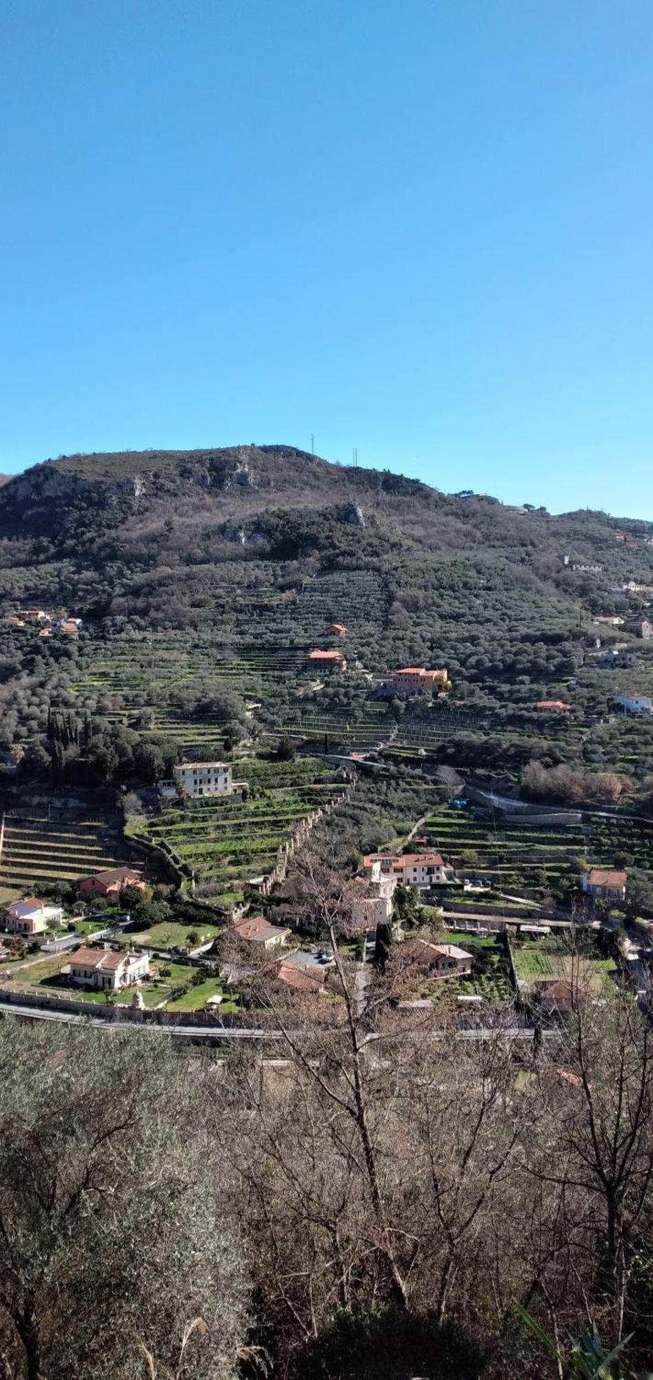 Cà degli Ulivi Hotel Finale Ligure Quarto foto