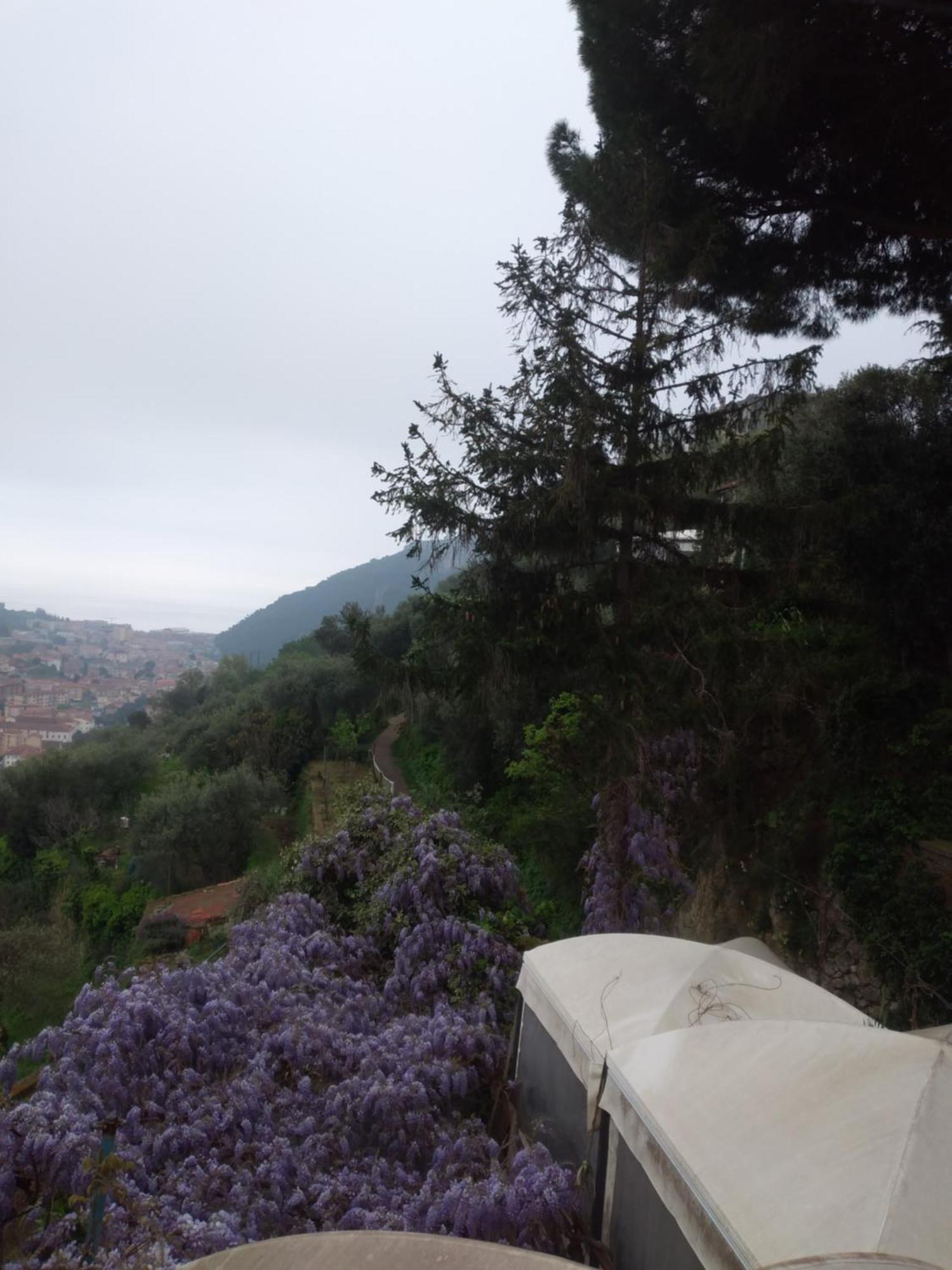 Cà degli Ulivi Hotel Finale Ligure Exterior foto
