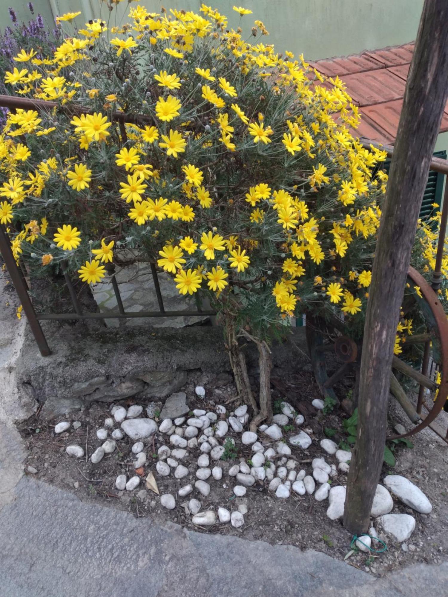 Cà degli Ulivi Hotel Finale Ligure Exterior foto